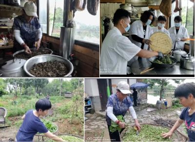 悬壶济世  著名中医——唐建华