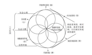 著名国宝级中医战略科学家 ——新时代国医大师张人善