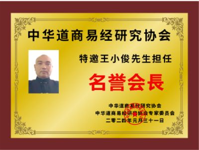 中国周易专家委员会—副会长—王小俊