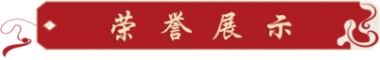 企业家功勋人物 广西金臣科技有限公司董事长——金凤章